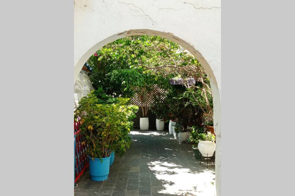 Appartement Pauline Kos